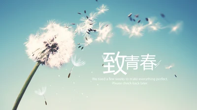 唯美蒲公英致青春毕业纪念册动态PPT模板