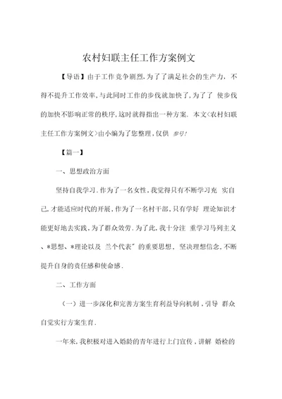 农村妇联主任精品工作计划例文