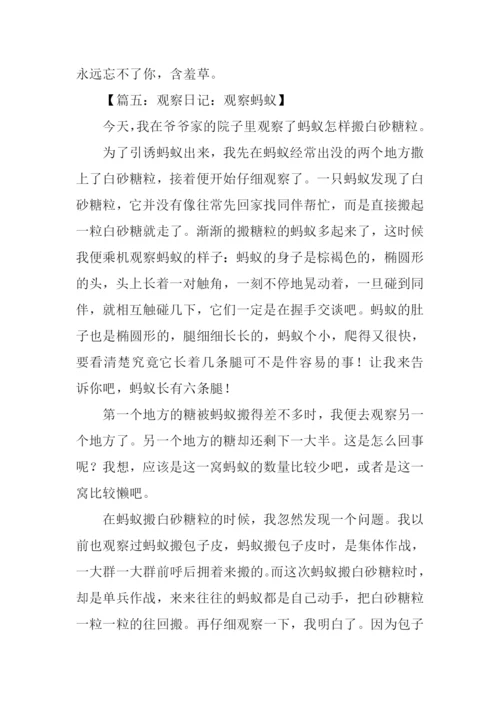小学三年级观察日记.docx