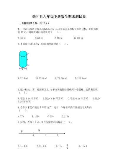 勃利县六年级下册数学期末测试卷考试直接用