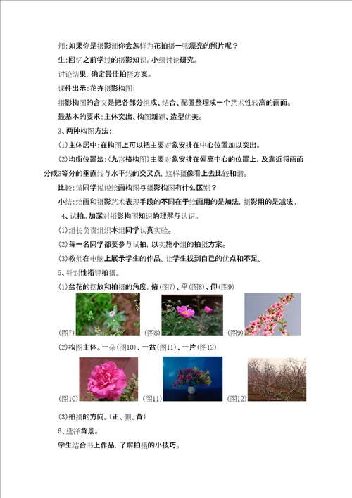 美术课美丽的花教学课例