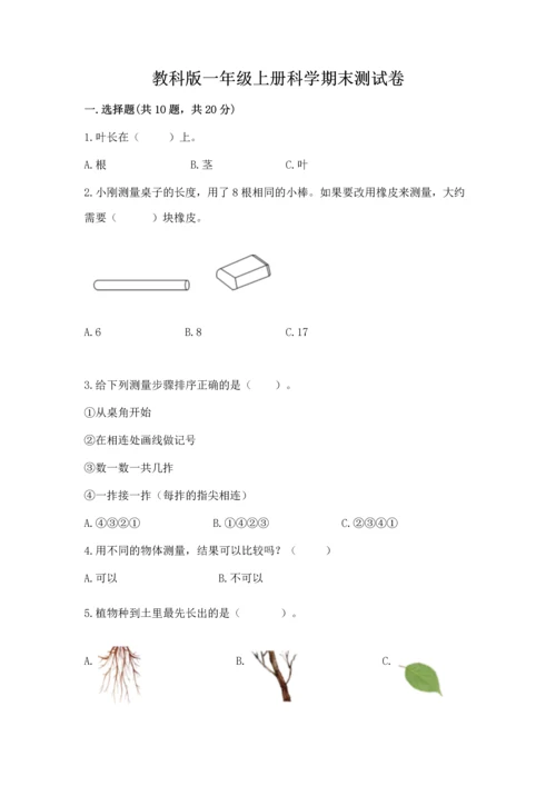 教科版一年级上册科学期末测试卷及参考答案（夺分金卷）.docx