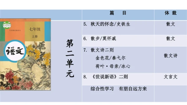 七年级语文上册知识（考点）梳理与能力训练  第二单元知识梳理  课件(共45张PPT)