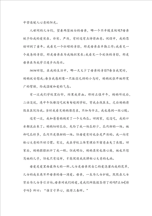 我的母亲高二作文范例