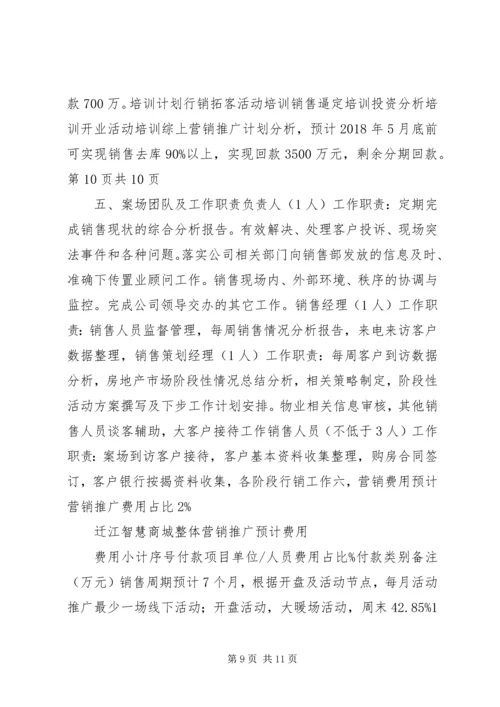 脑灵通整合推广方案.docx