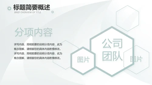 高端品牌介绍策划方案工作总结计划PPT