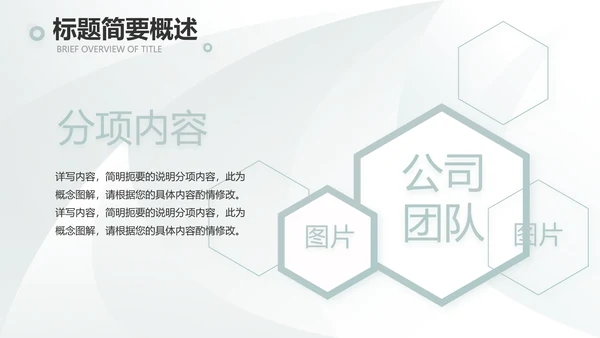 高端品牌介绍策划方案工作总结计划PPT