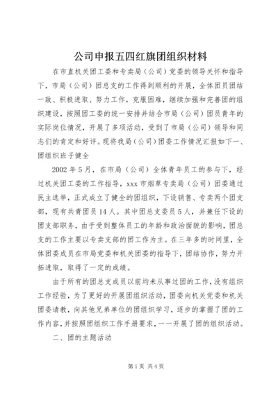 公司申报五四红旗团组织材料_1.docx