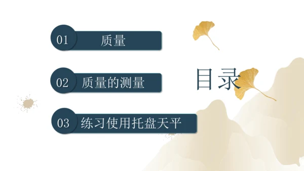 6.1质量（课件）(共29张PPT) -2023-2024学年八年级物理上册同步精品课堂（人教版）