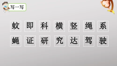 6 夜间飞行的秘密   课件