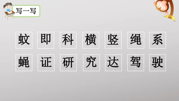 6 夜间飞行的秘密   课件