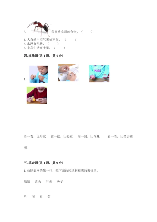 教科版小学科学一年级下册期末测试卷附答案（典型题）.docx