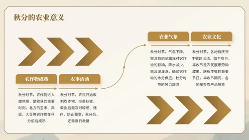 棕色中国风秋分节气知识宣传PPT