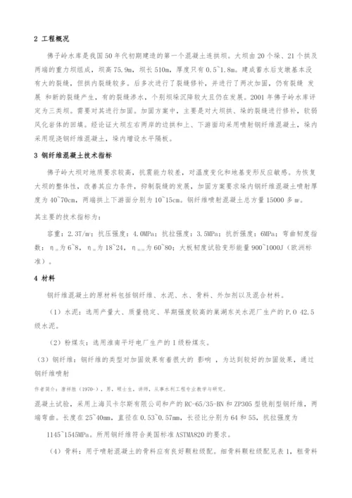 钢纤维喷射混凝土在大坝加固中的运用.docx