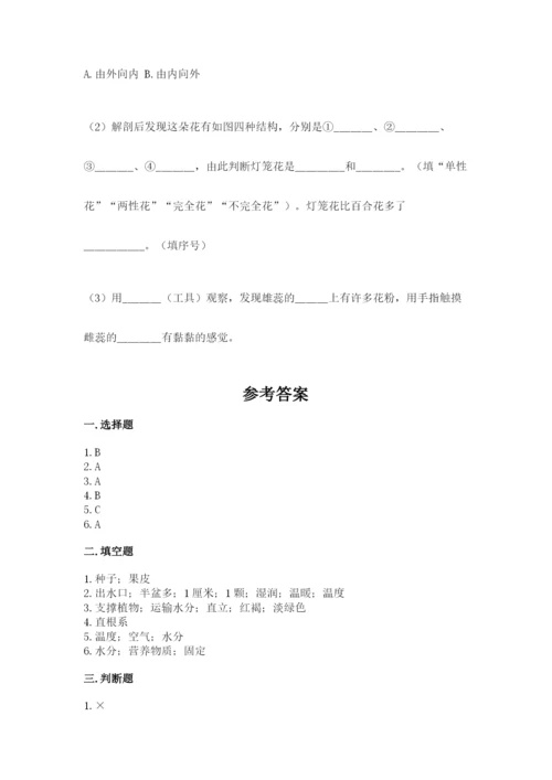 科学四年级下册第一单元植物的生长变化测试卷及完整答案【考点梳理】.docx