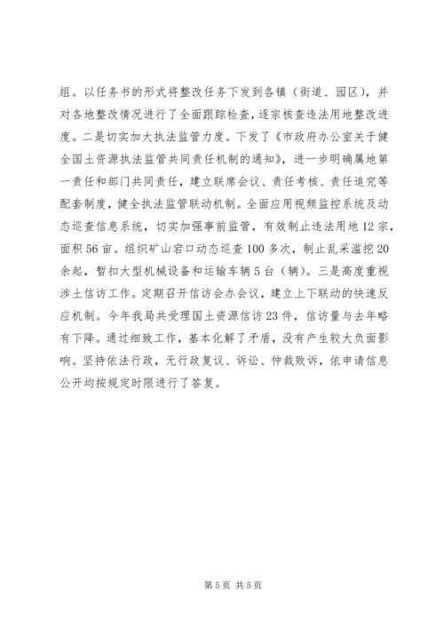 国土局重点工作完成情况报告.docx