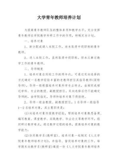 大学青年教师培养计划_1.docx