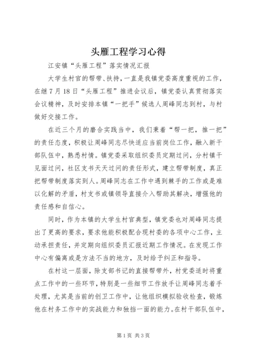 头雁工程学习心得 (4).docx