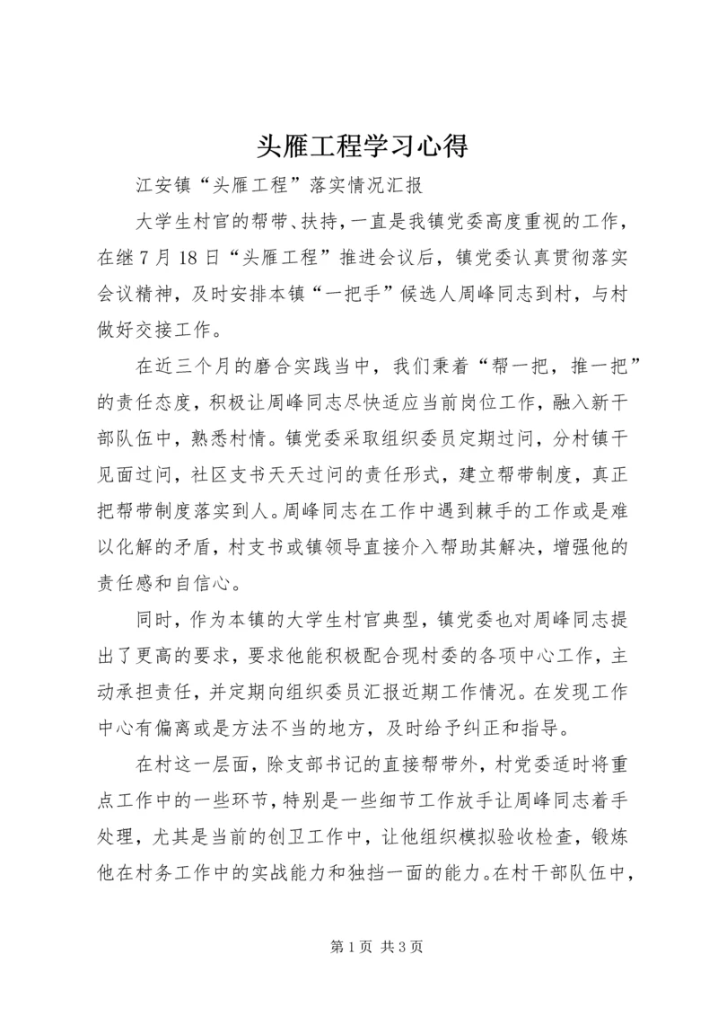 头雁工程学习心得 (4).docx