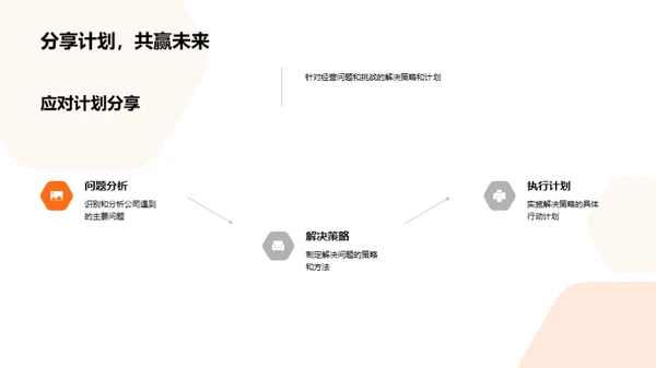 公司年度综述与展望