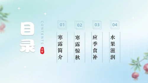 彩色弥撒寒露养生二十四节气PPT课件