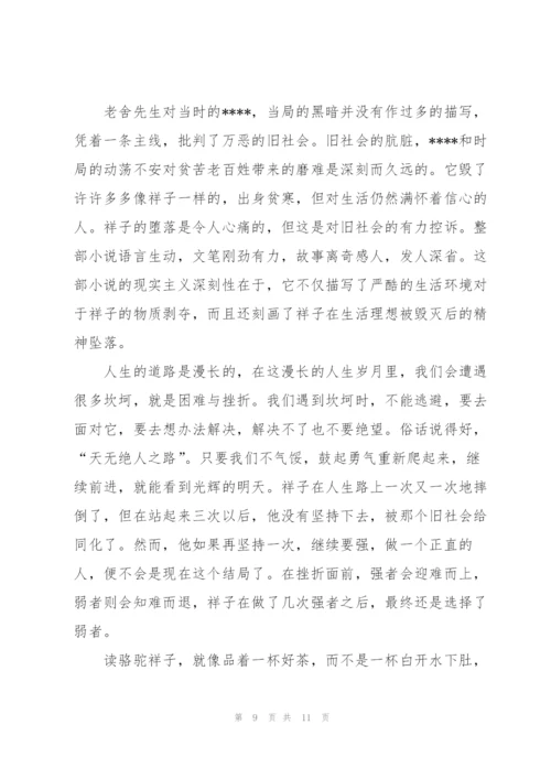 骆驼祥子学生心得感悟5篇.docx