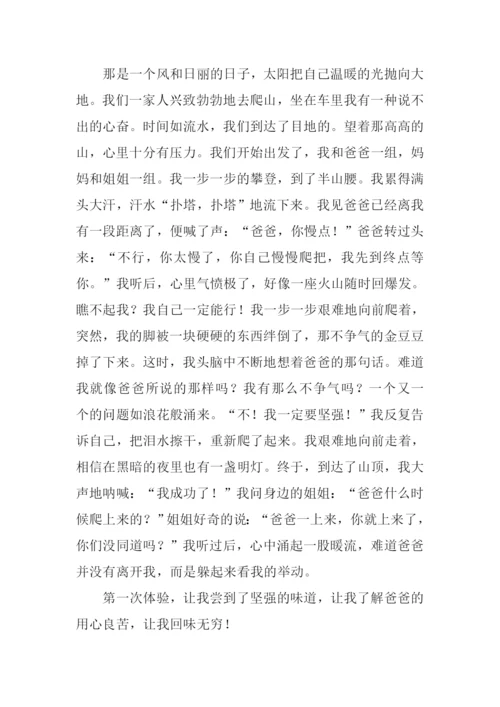 登山作文600字0.docx