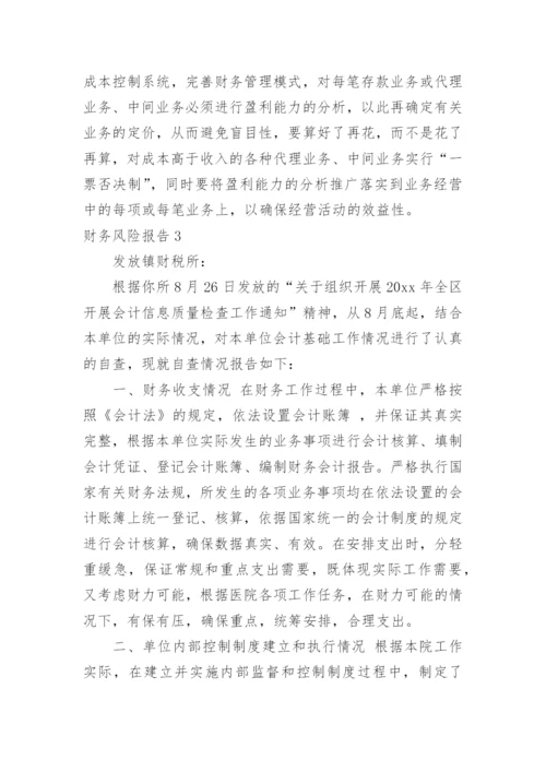 财务风险报告.docx