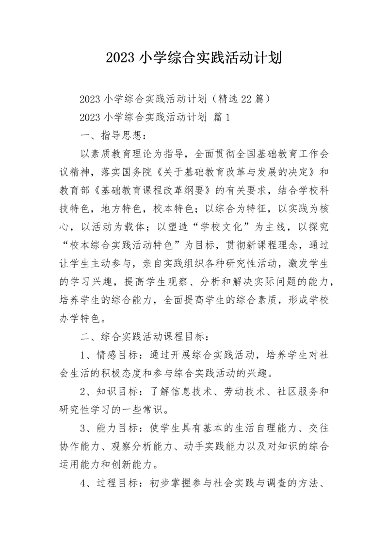 2023小学综合实践活动计划.docx