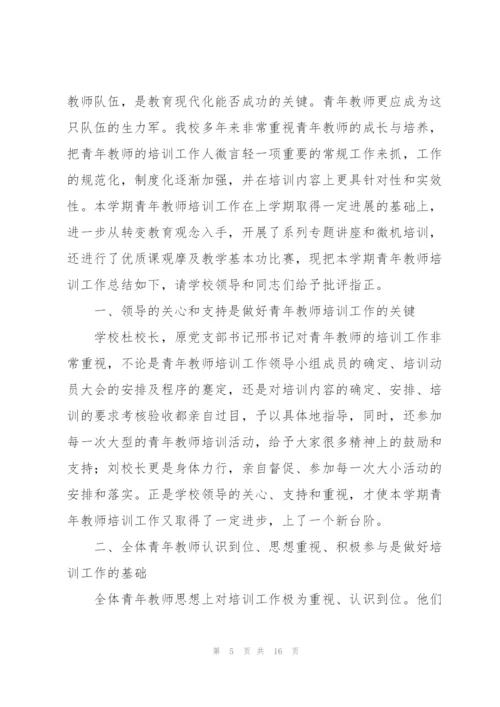 青年教师培训个人总结三篇.docx
