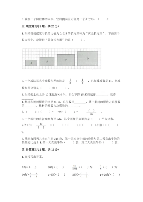 小学六年级下册数学期末测试卷精品带答案.docx