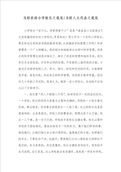 当好农村小学校长之我见当好人大代表之我见