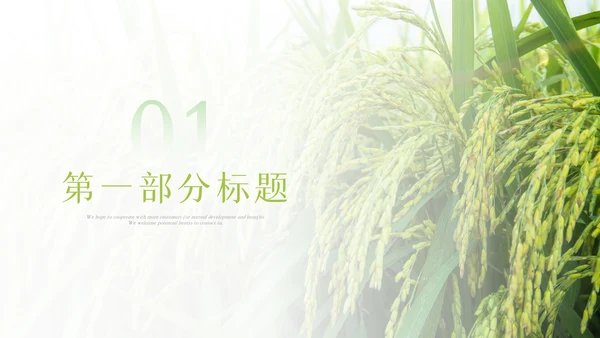绿色农业生产春耕三农乡村振兴稻田水稻PPT