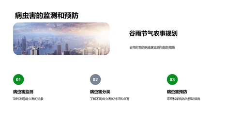谷雨农事活动指导PPT模板