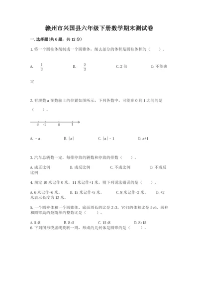 赣州市兴国县六年级下册数学期末测试卷a4版.docx