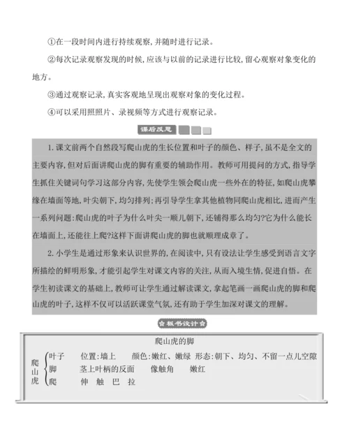 10爬山虎的脚  教案