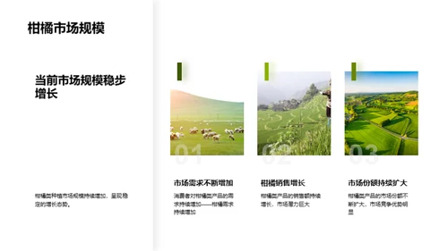 柑橘行业：挖掘投资新机遇