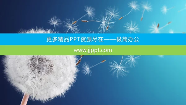 蒲公英种子传播教师公开课通用PPT课件