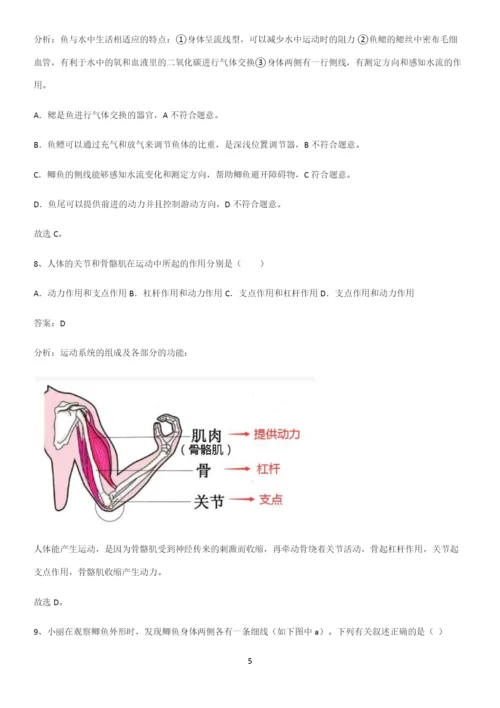 人教版初中生八年级上册第五单元生物圈中的其他生物易混淆知识点.docx