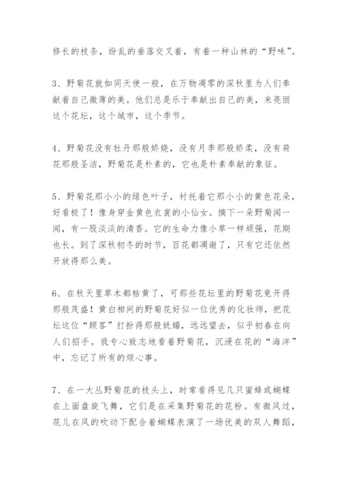 描写野菊花的好词好句好段优美好段作文.docx