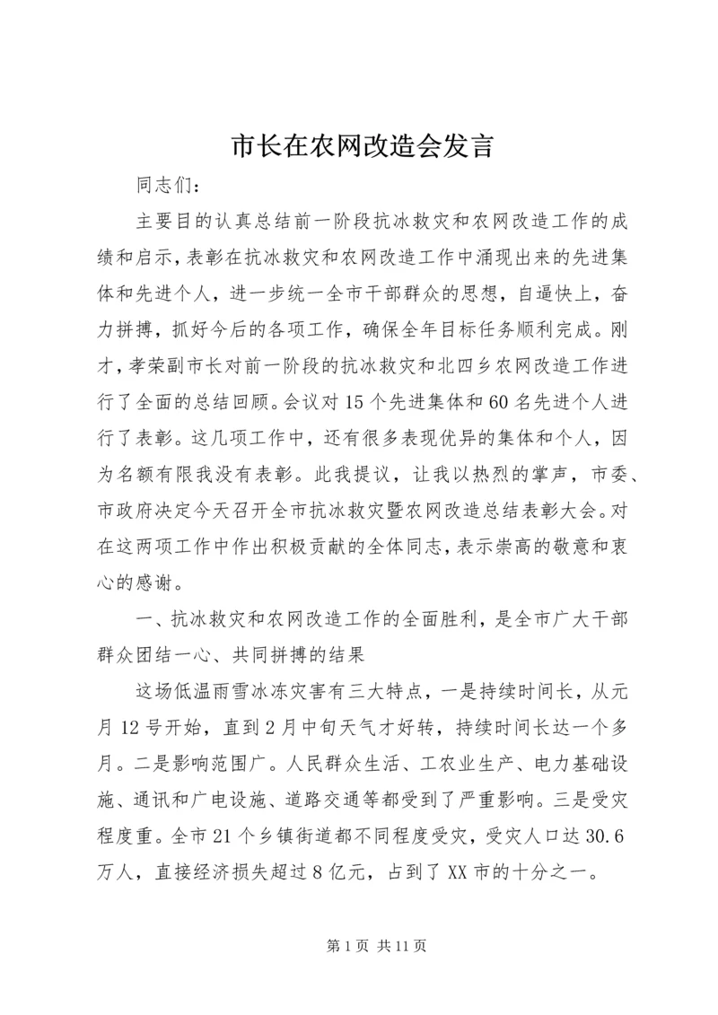 市长在农网改造会发言.docx