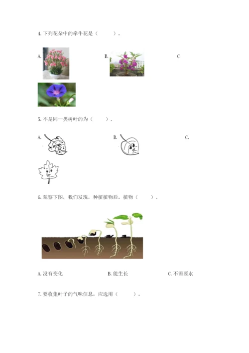 教科版一年级上册科学期末测试卷有解析答案.docx