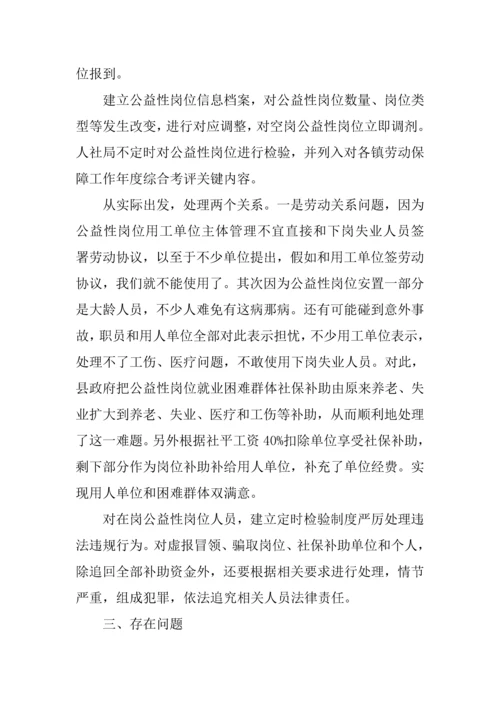 公益性岗位开发管理情况的调研研究报告.docx