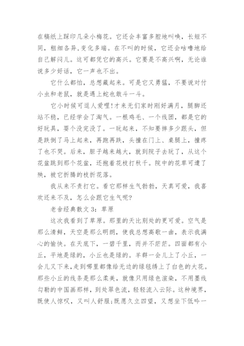 老舍的经典散文.docx