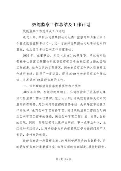 效能监察工作总结及工作计划.docx