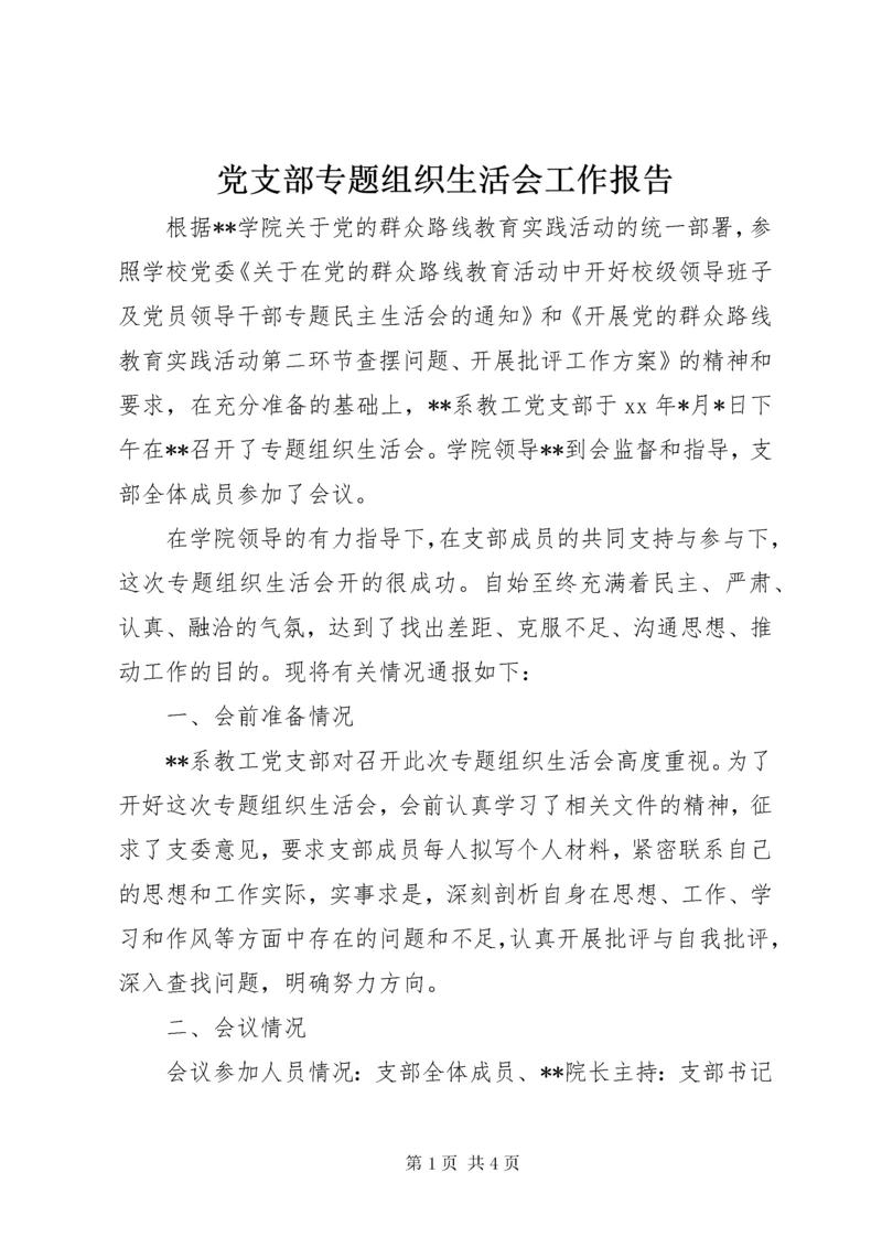 党支部专题组织生活会工作报告.docx