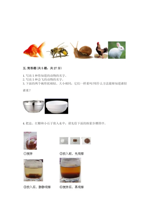 教科版一年级下册科学期末测试卷及参考答案（综合题）.docx