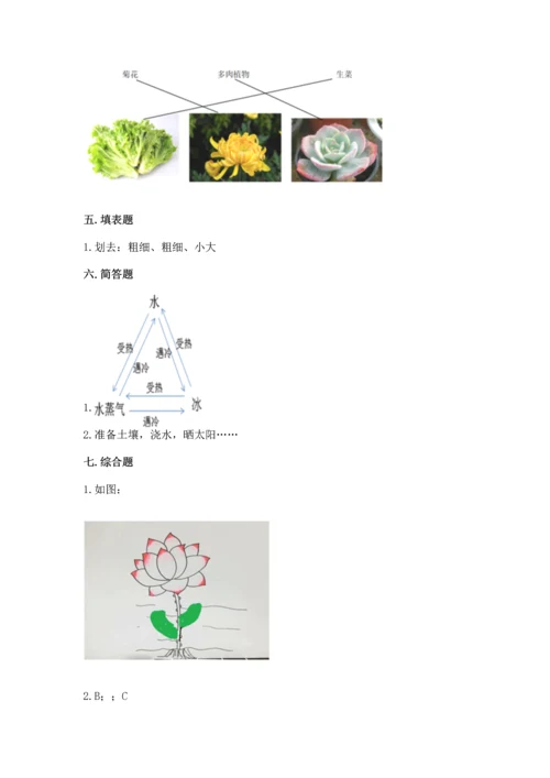 教科版科学一年级上册第一单元《植物》测试卷及答案【网校专用】.docx