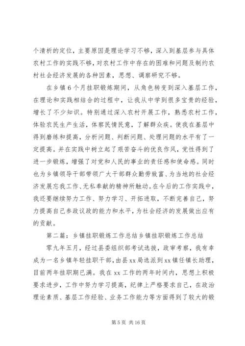 乡镇挂职锻炼工作总结.docx