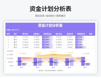资金计划分析表